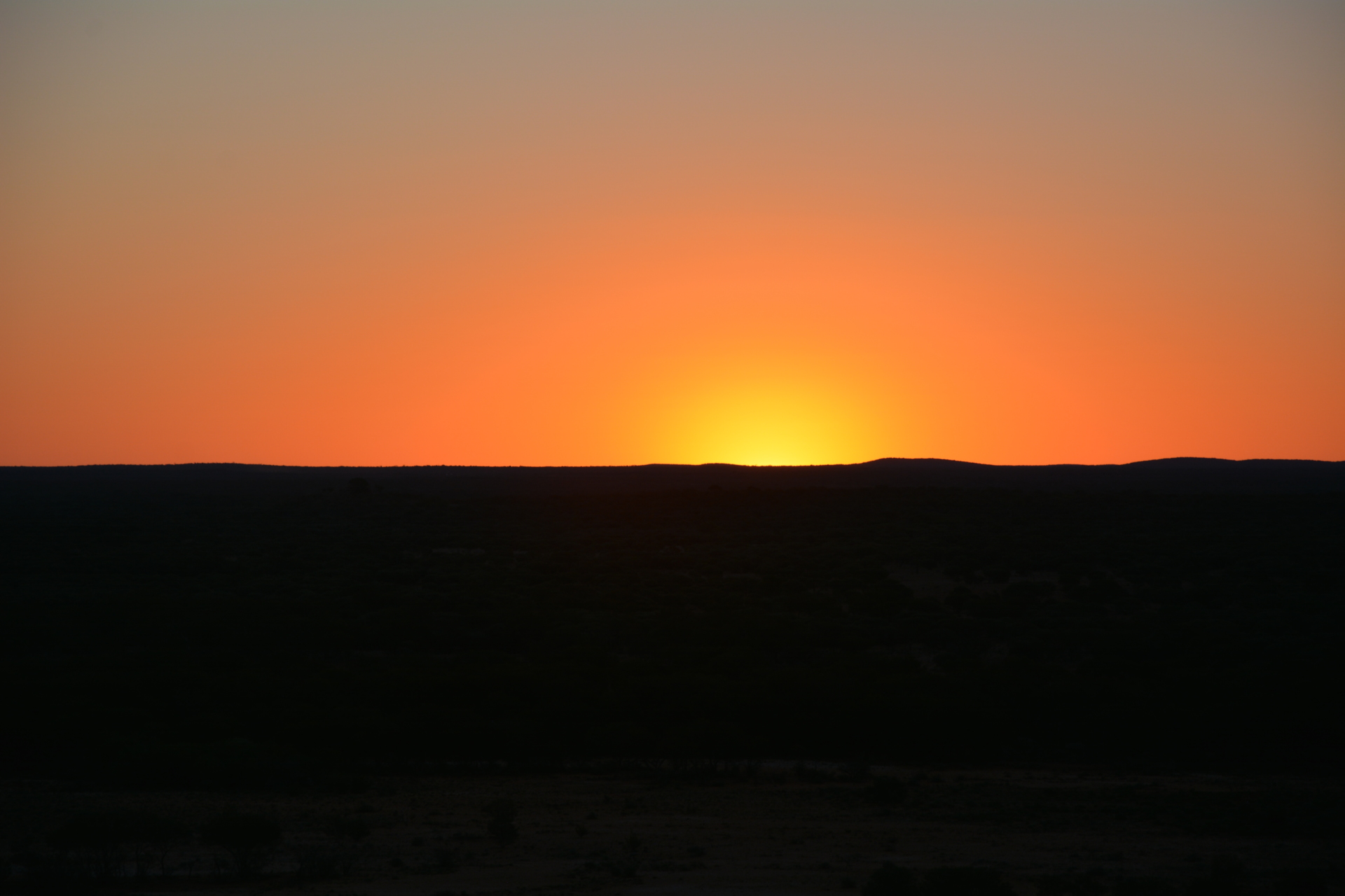 DSC-2796.jpg